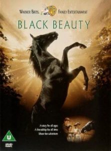 cele mai apreciate filme cu cai