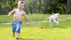 Cele mai prietenoase rase de câini pentru copii 1