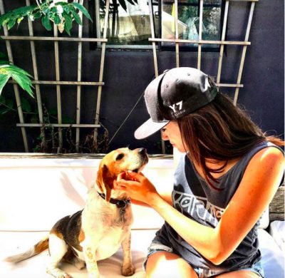 Meghan Markle Beagle